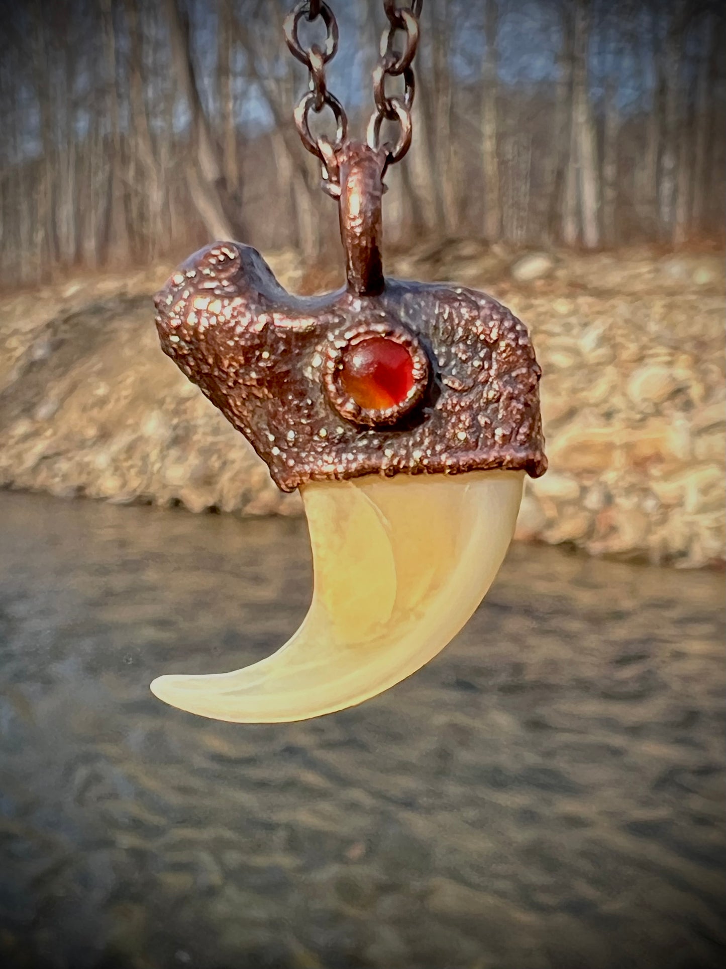 Cougar Claw with Carnelian - Copper Electroformed Necklace