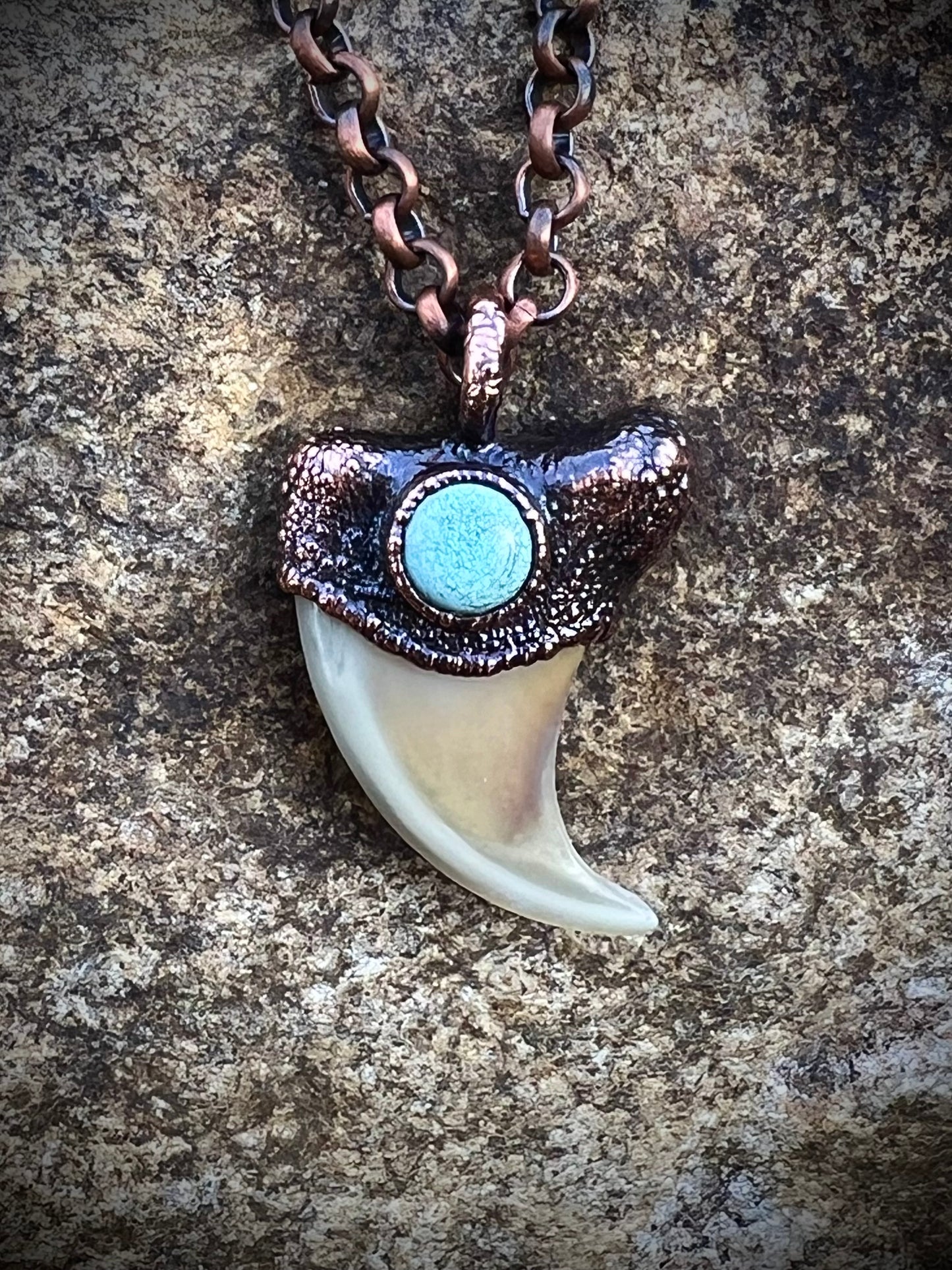 Cougar Claw with Tibetan Turquoise - Copper Electroformed Necklace