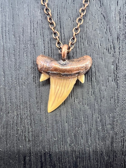 Otodus obliquus Shark Tooth — Copper Electroformed Necklace