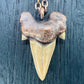 Otodus obliquus Shark Tooth — Copper Electroformed Necklace