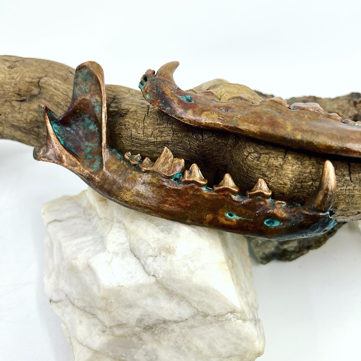 Large Mandible Set - Copper Electroformed