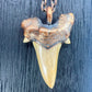 Otodus obliquus Shark Tooth — Copper Electroformed Necklace