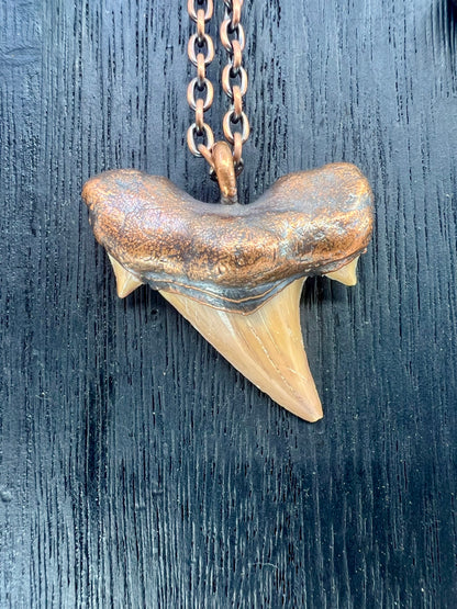 Otodus obliquus Shark Tooth — Copper Electroformed Necklace