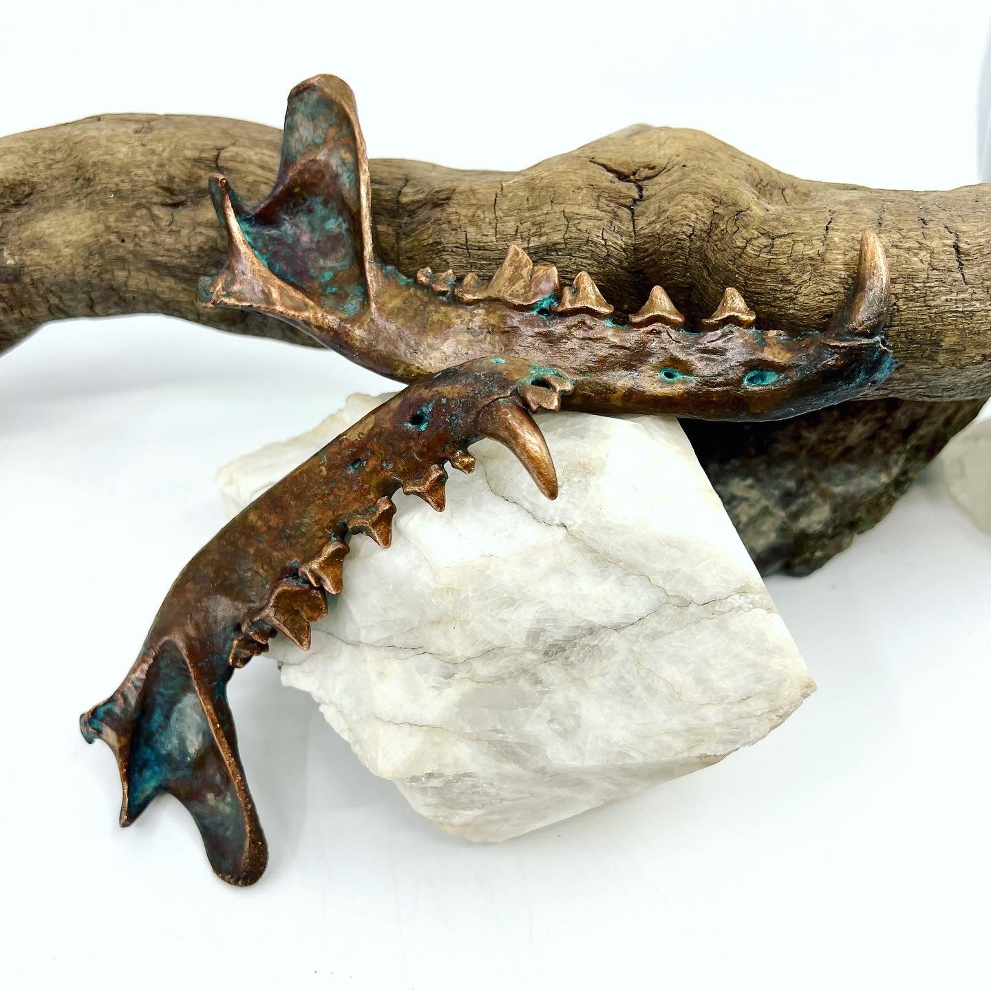 Large Mandible Set - Copper Electroformed