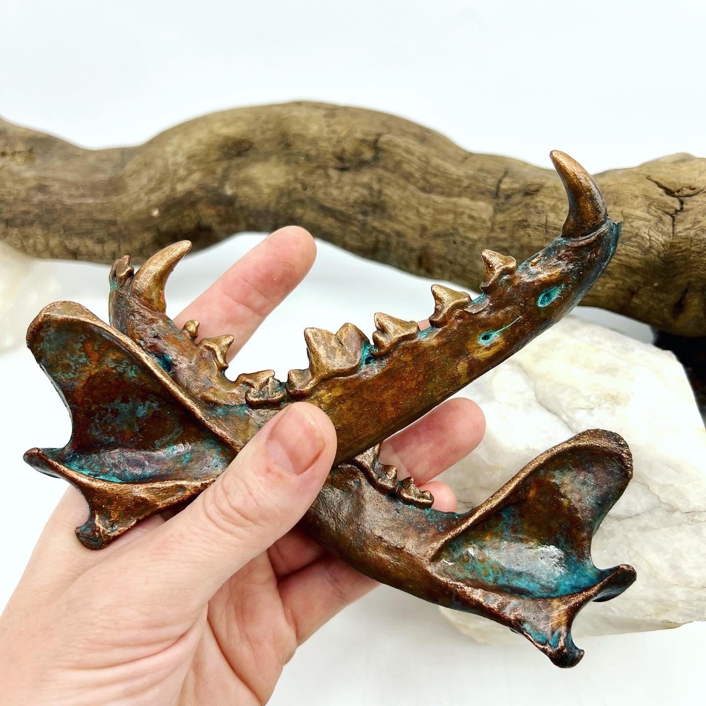 Large Mandible Set - Copper Electroformed