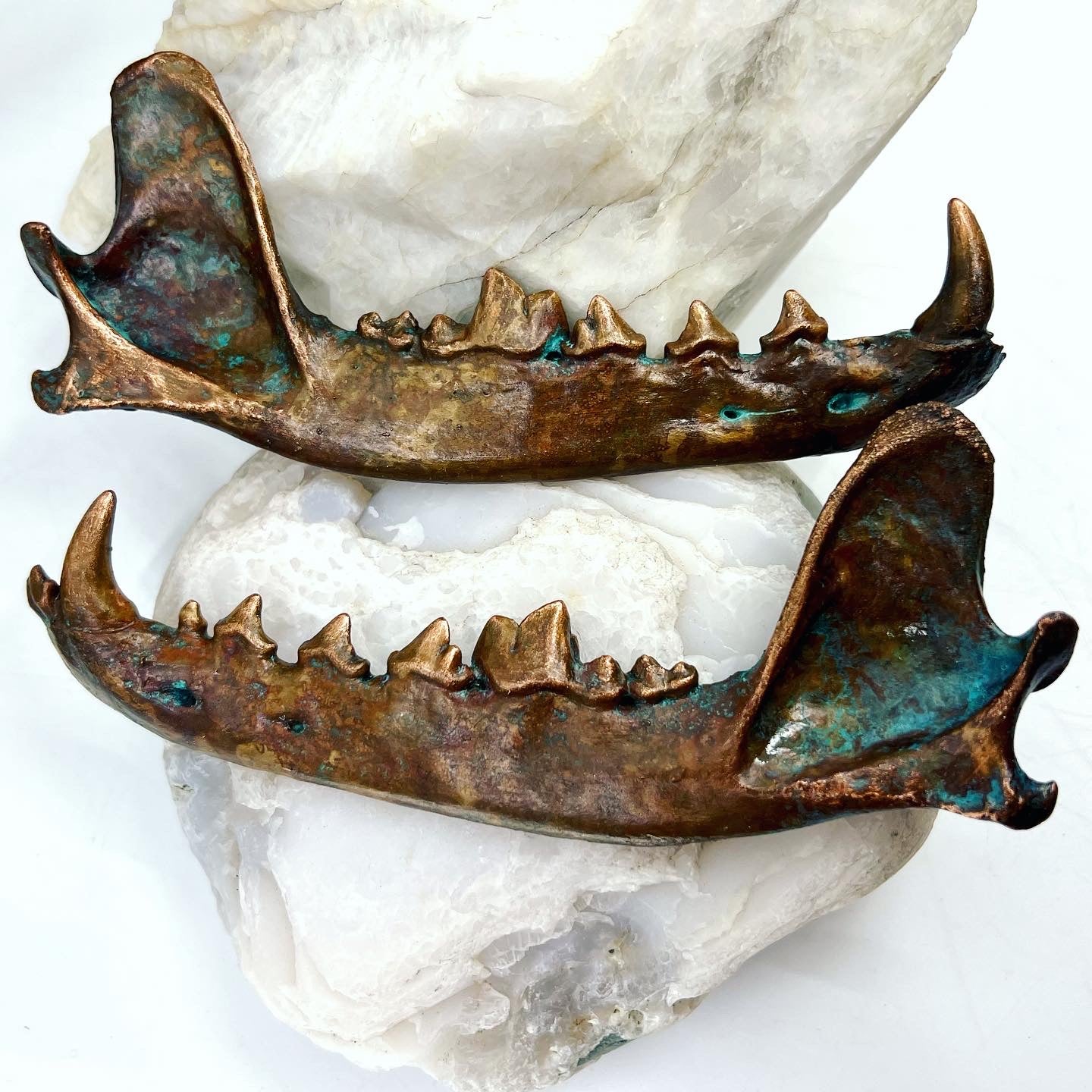 Large Mandible Set - Copper Electroformed