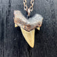 Otodus obliquus Shark Tooth — Copper Electroformed Necklace