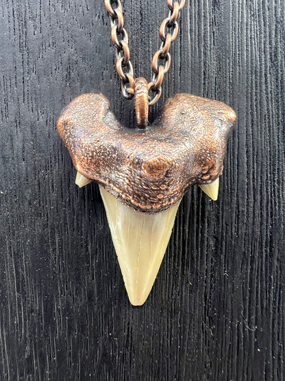 Otodus obliquus Shark Tooth — Copper Electroformed Necklace