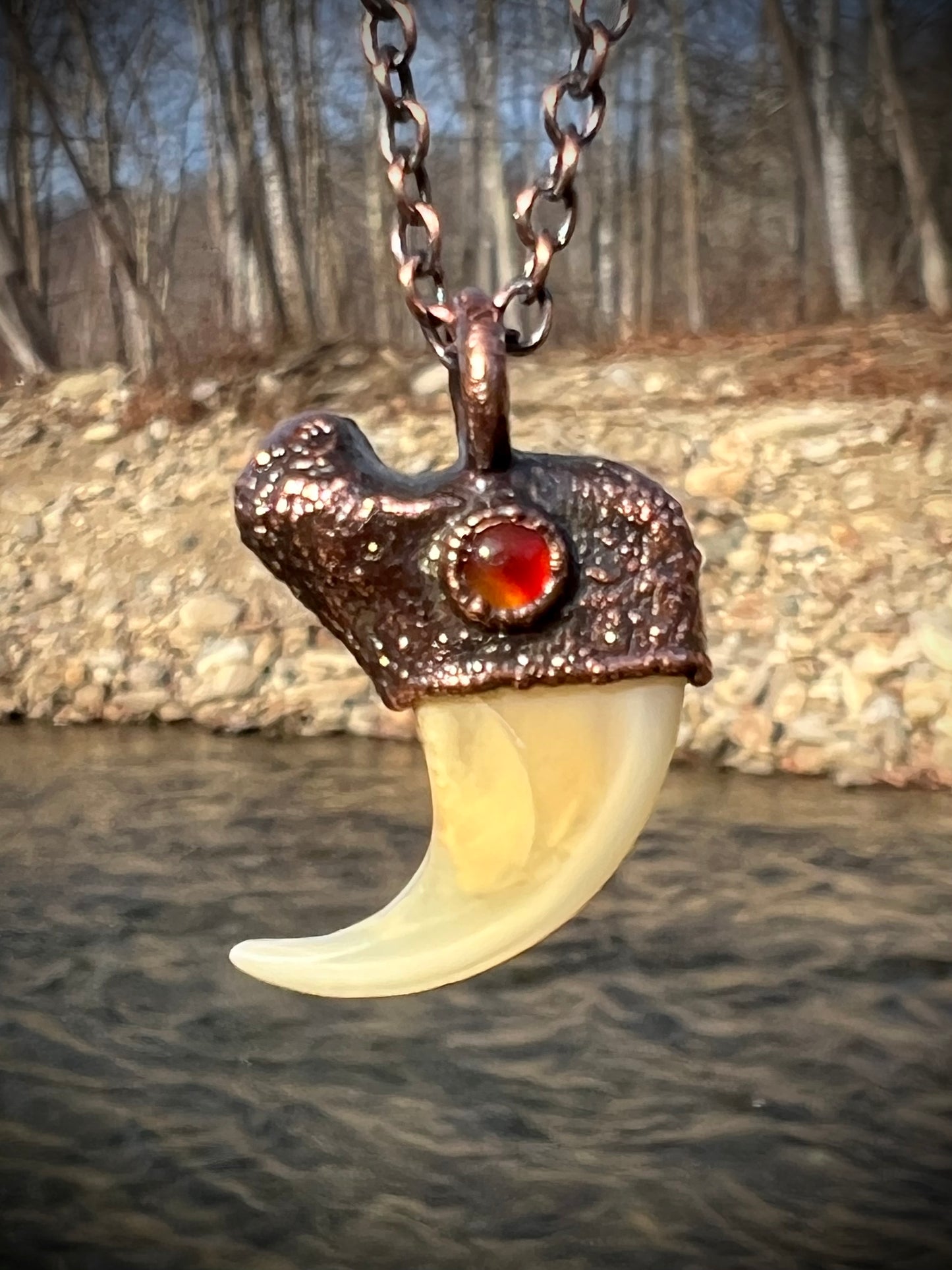 Cougar Claw with Carnelian - Copper Electroformed Necklace