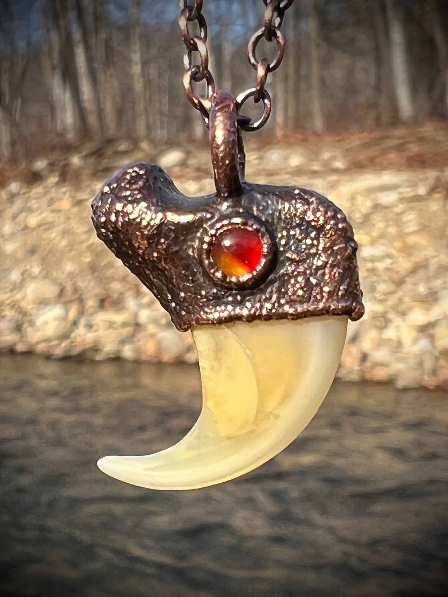 Cougar Claw with Carnelian - Copper Electroformed Necklace