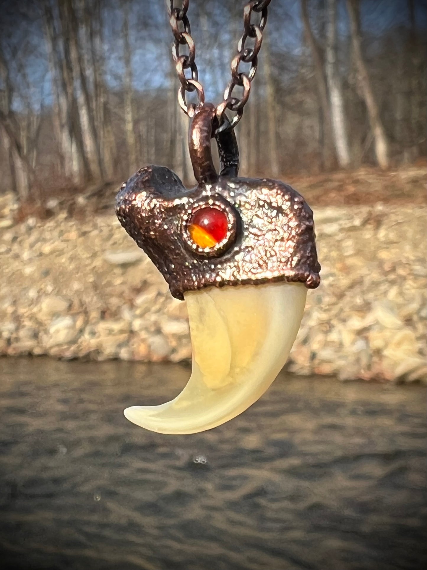 Cougar Claw with Carnelian - Copper Electroformed Necklace