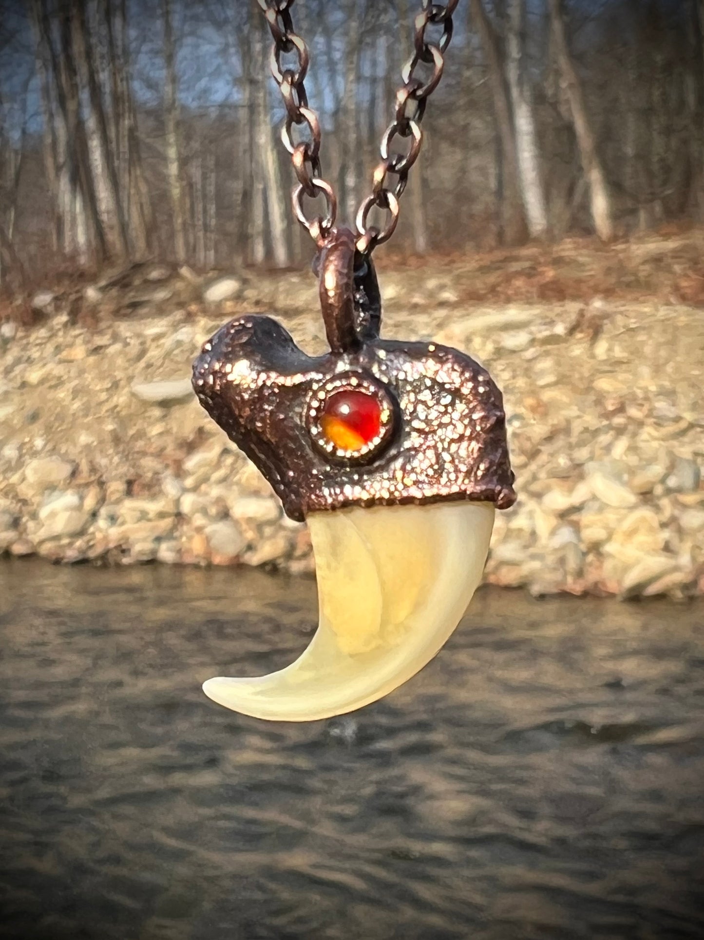 Cougar Claw with Carnelian - Copper Electroformed Necklace