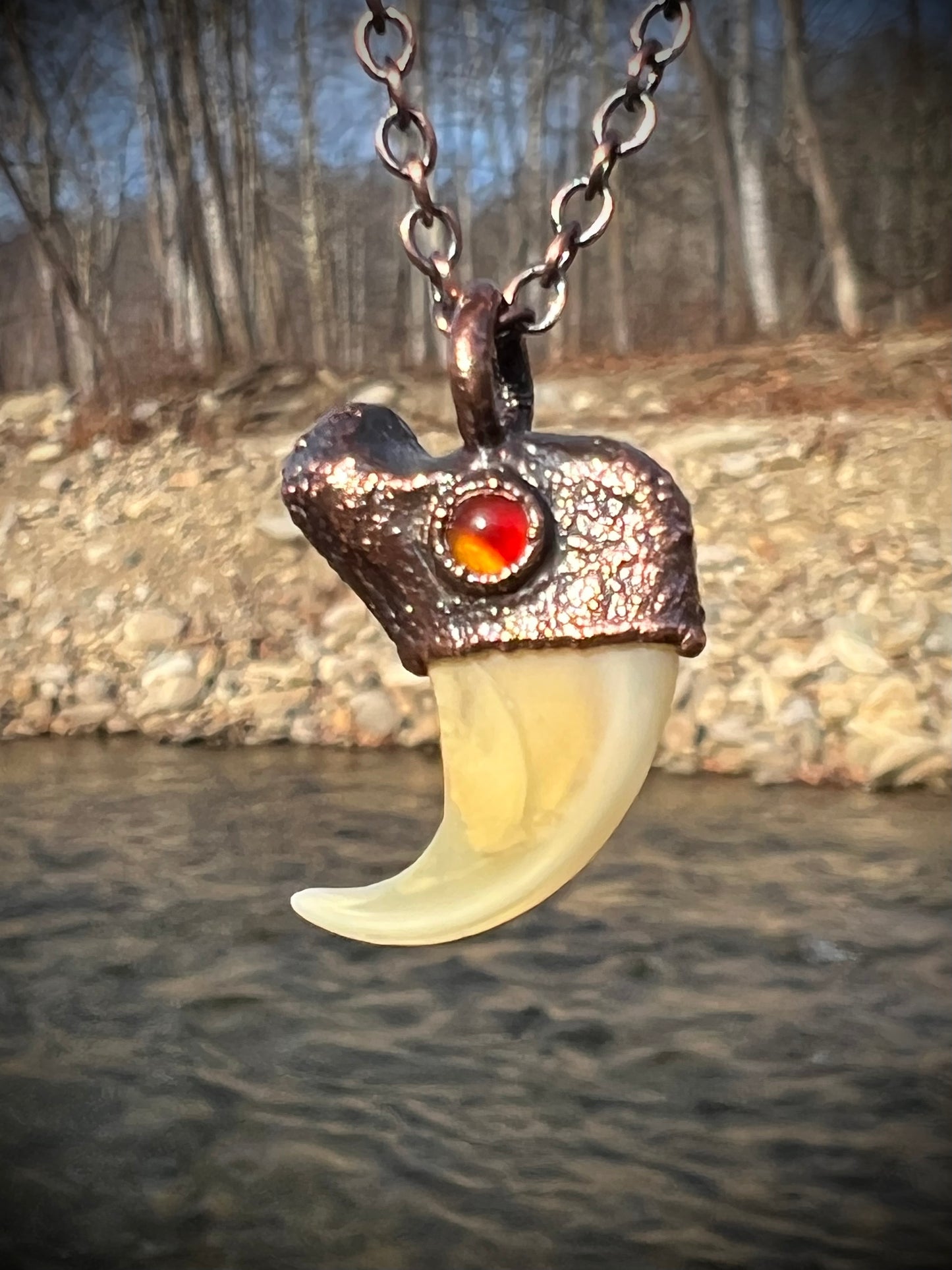Cougar Claw with Carnelian - Copper Electroformed Necklace