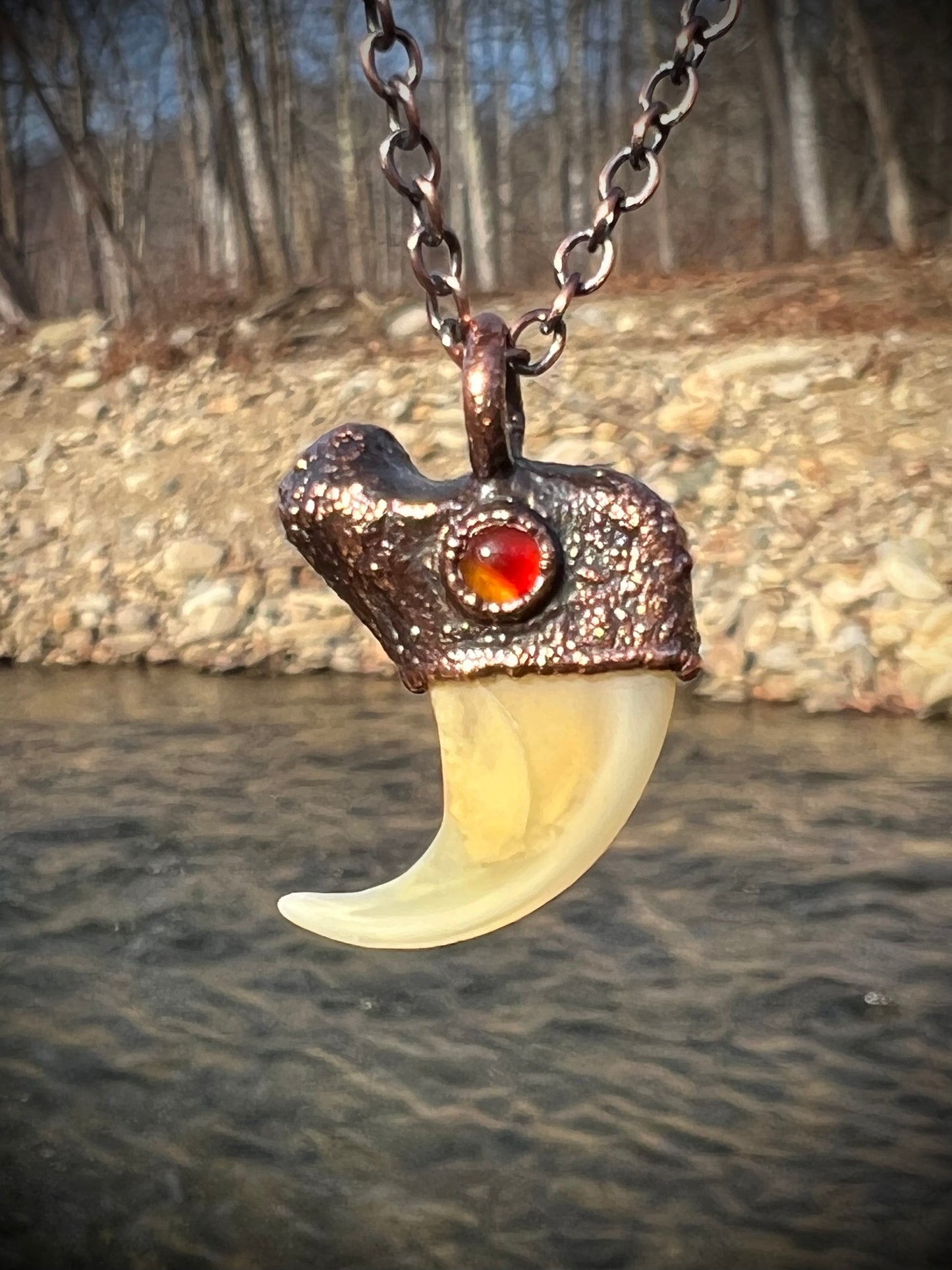 Cougar Claw with Carnelian - Copper Electroformed Necklace