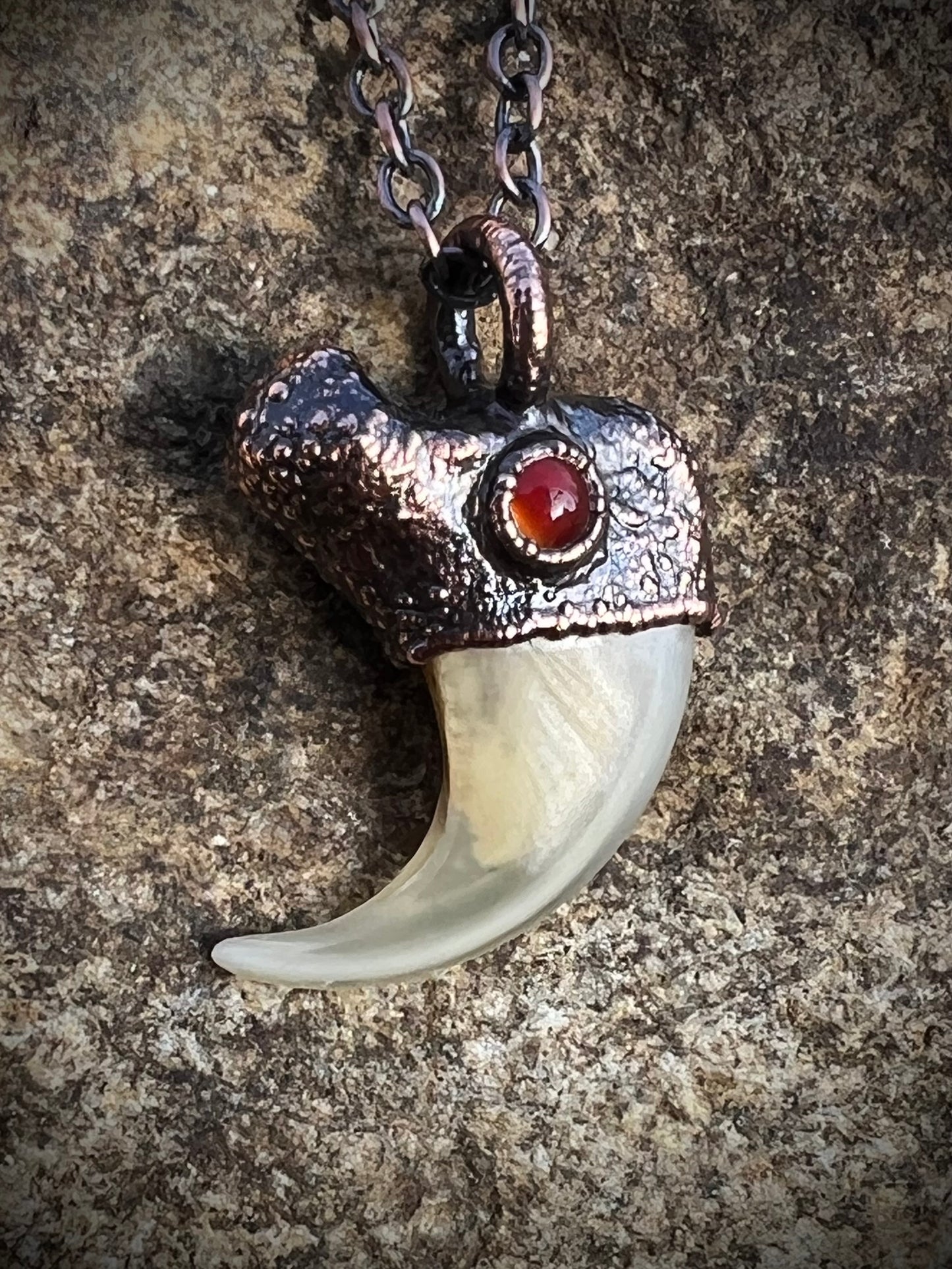 Cougar Claw with Carnelian - Copper Electroformed Necklace