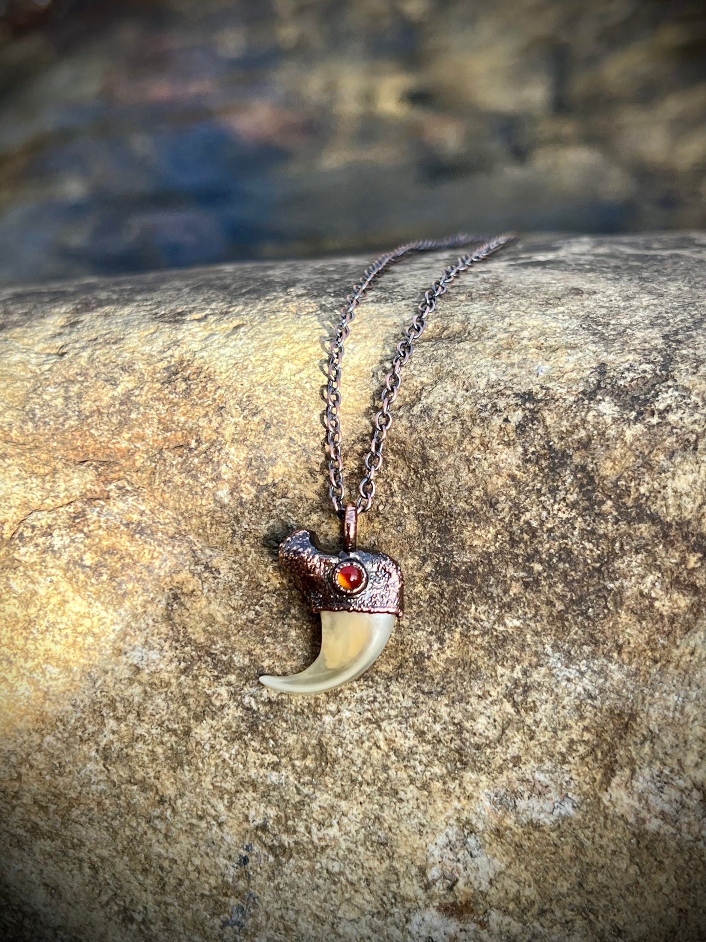 Cougar Claw with Carnelian - Copper Electroformed Necklace