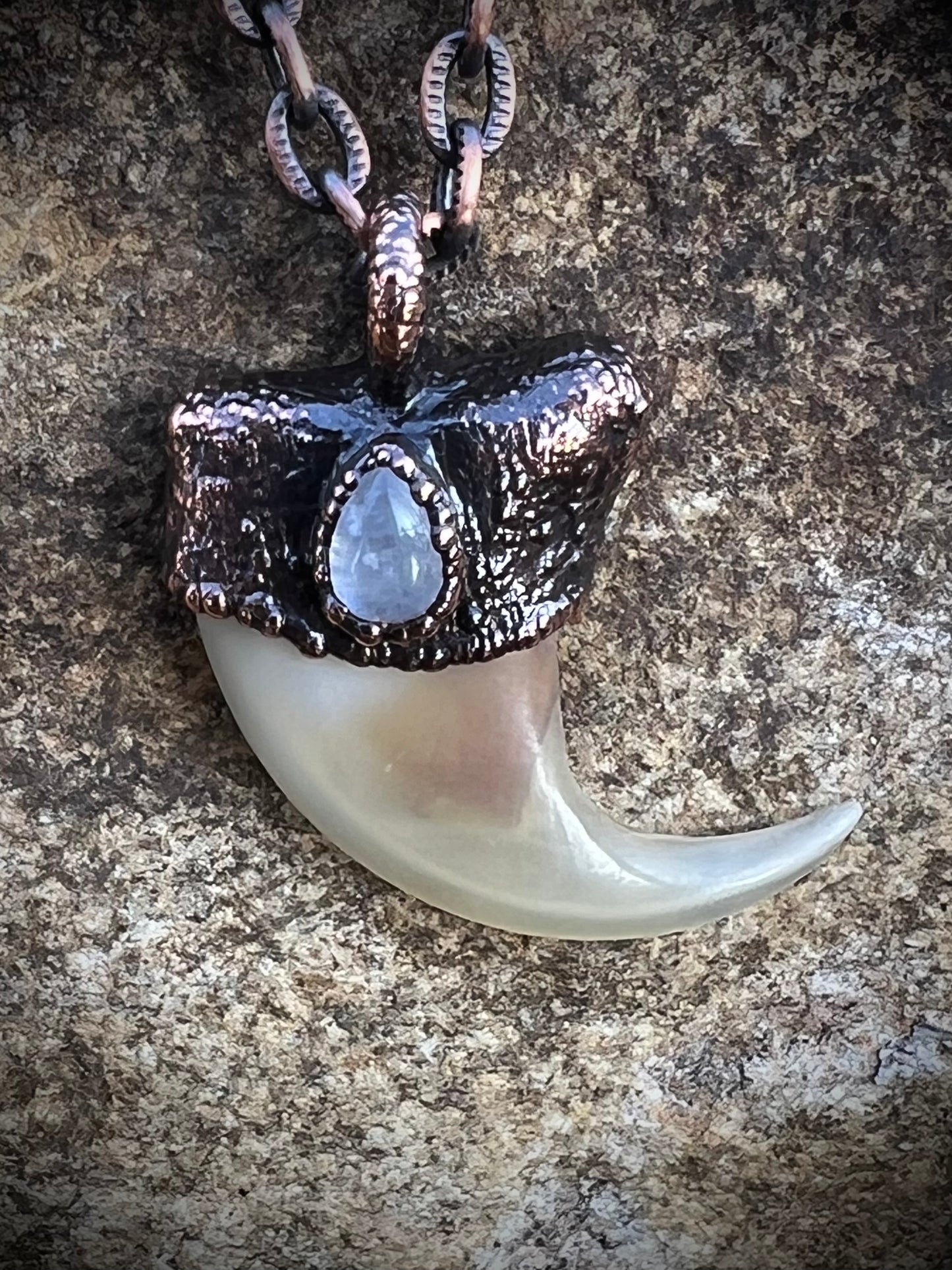 Cougar Claw with Moonstone - Copper Electroformed Necklace