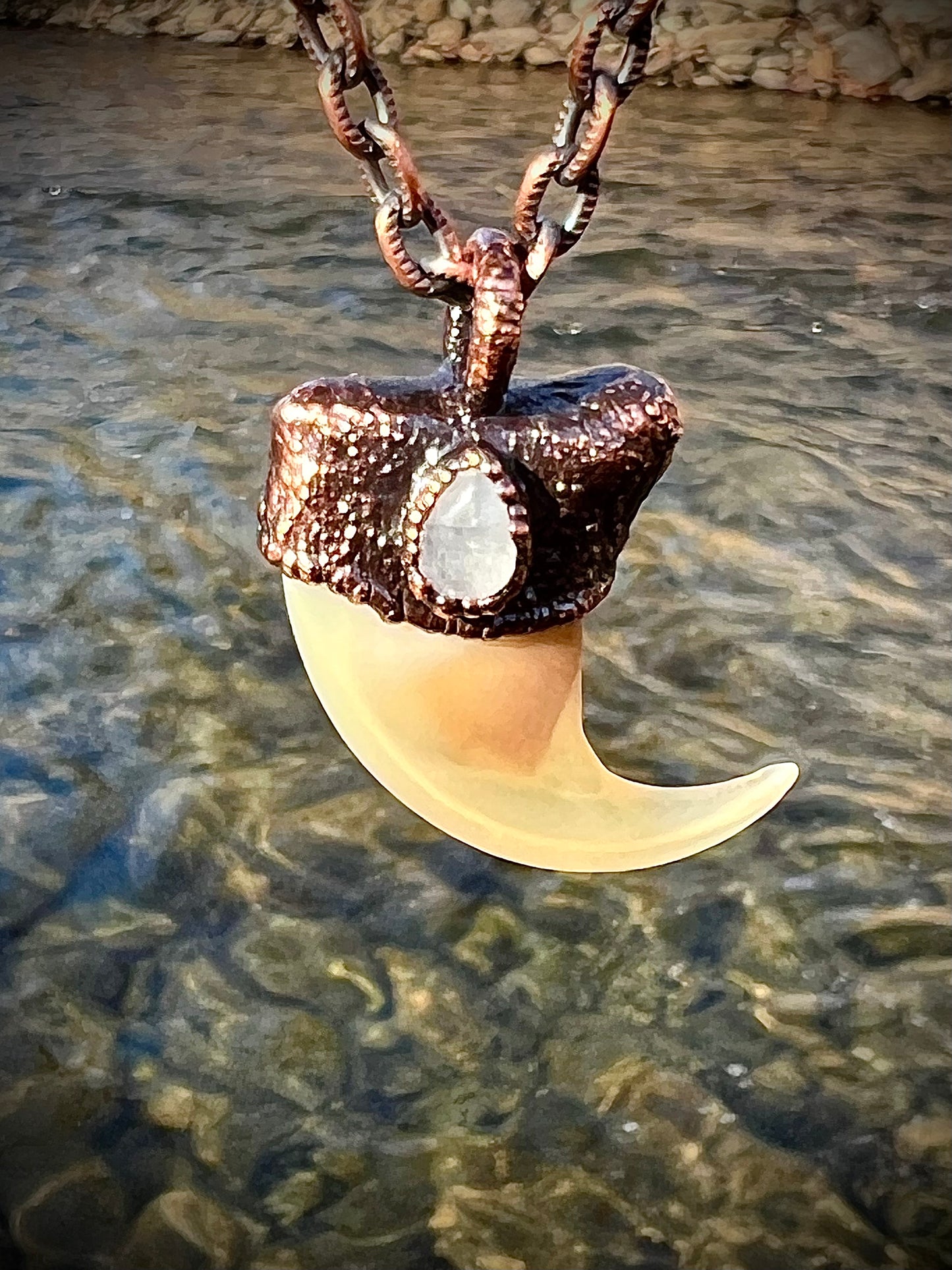 Cougar Claw with Moonstone - Copper Electroformed Necklace