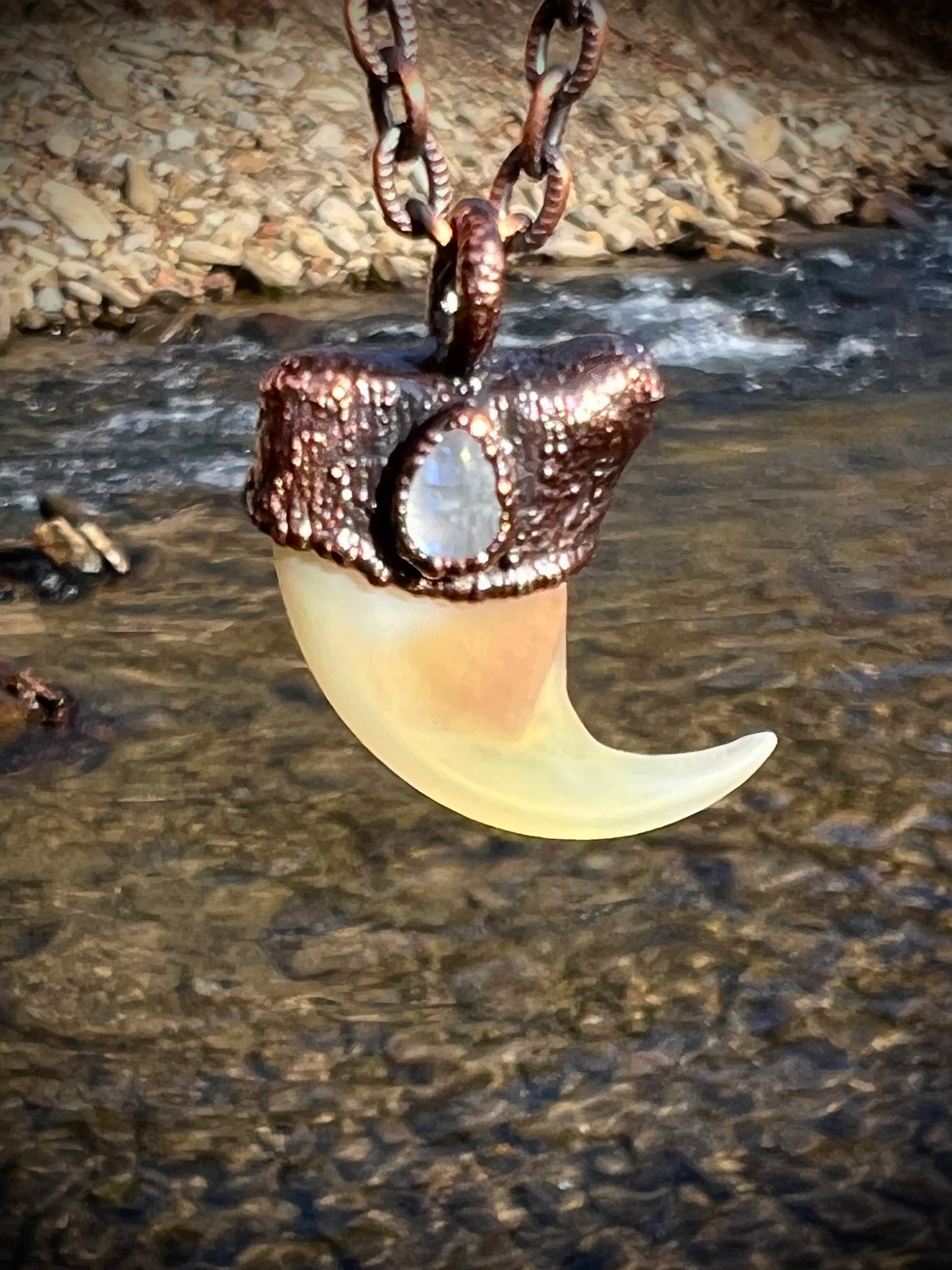 Cougar Claw with Moonstone - Copper Electroformed Necklace