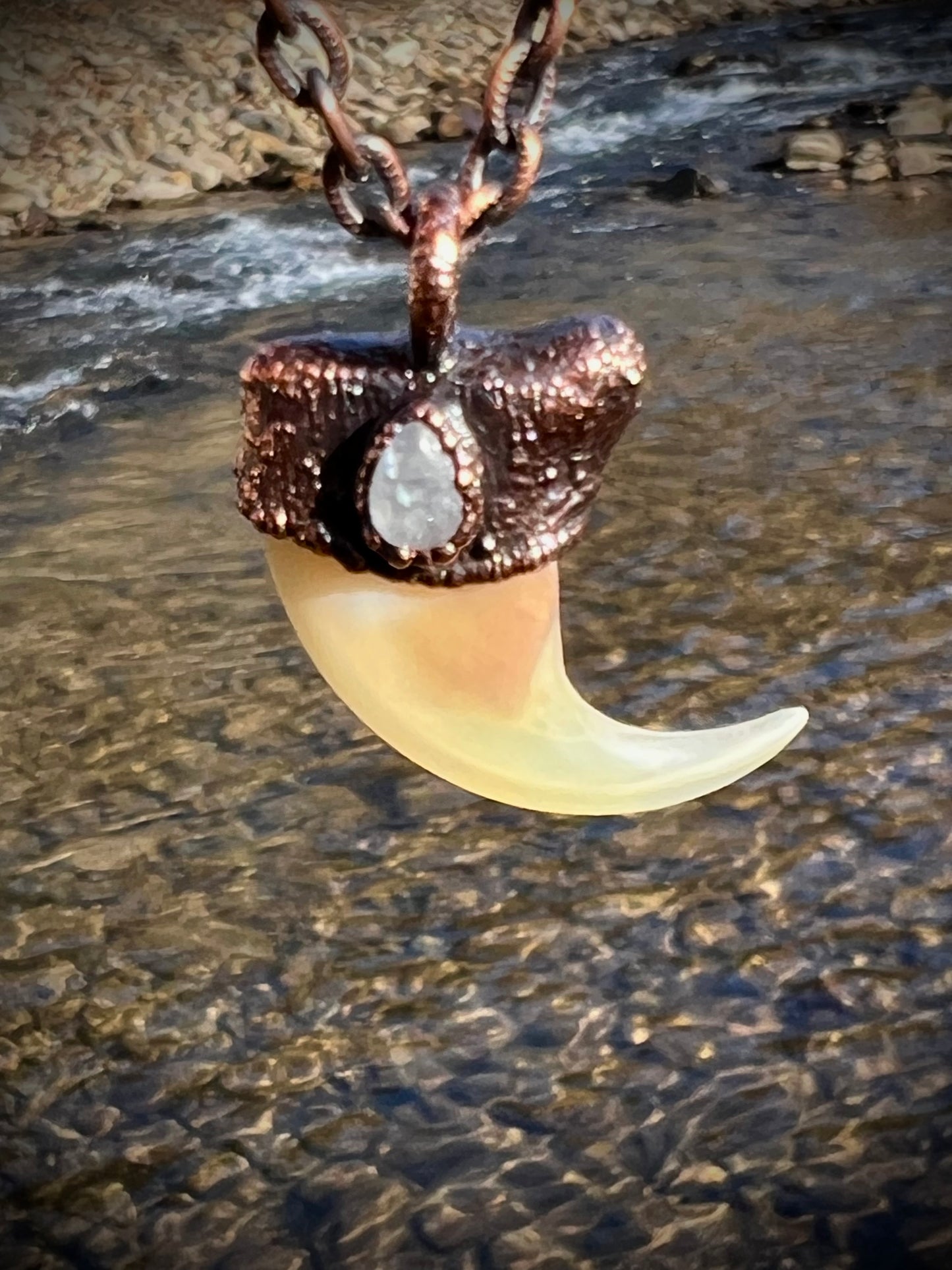 Cougar Claw with Moonstone - Copper Electroformed Necklace