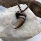 Black Bear Claw with Tourmaline Accent, Small Rear Claw - Copper Electroformed Necklace