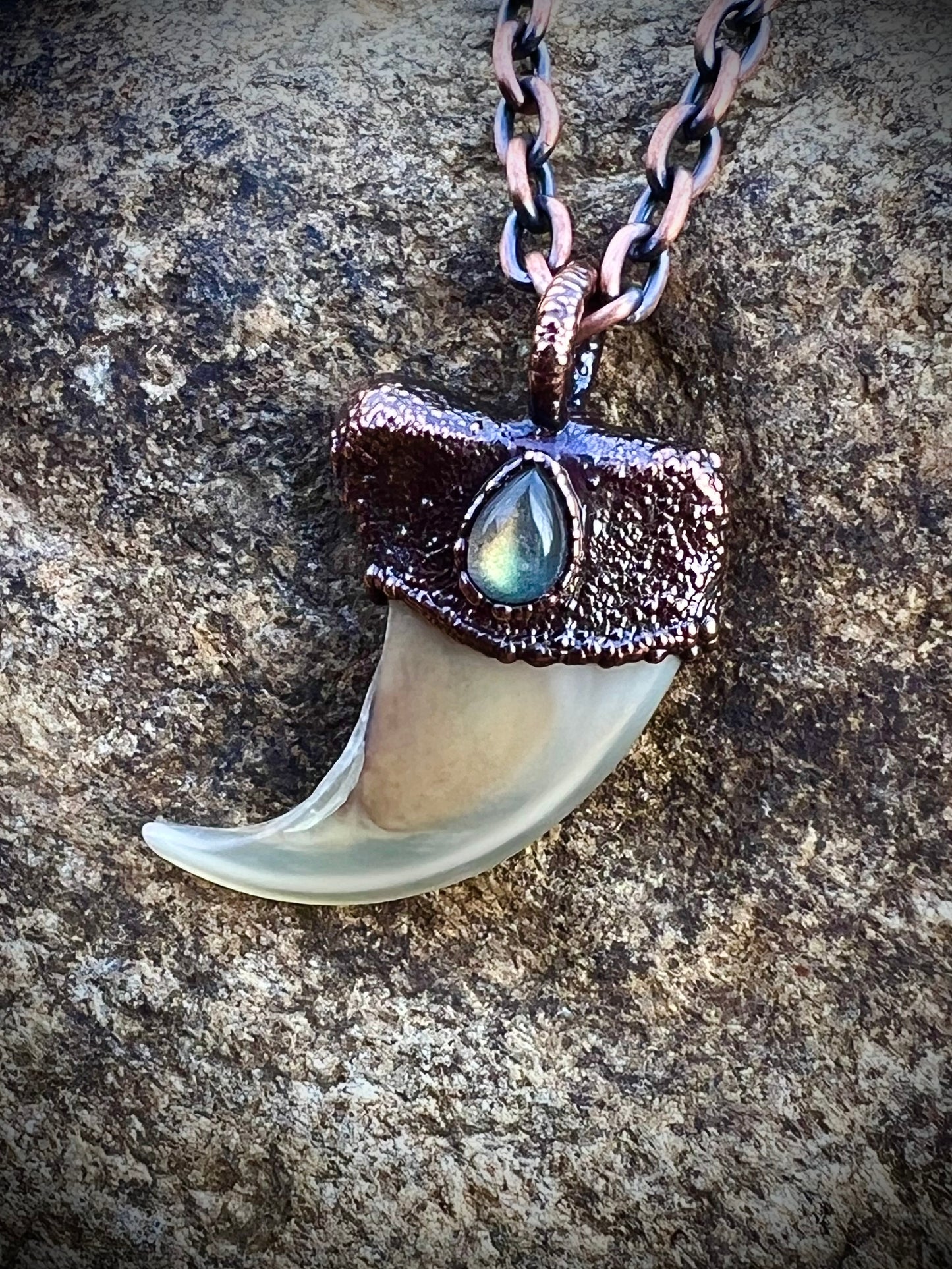 Cougar Claw with Labradorite - Copper Electroformed Necklace