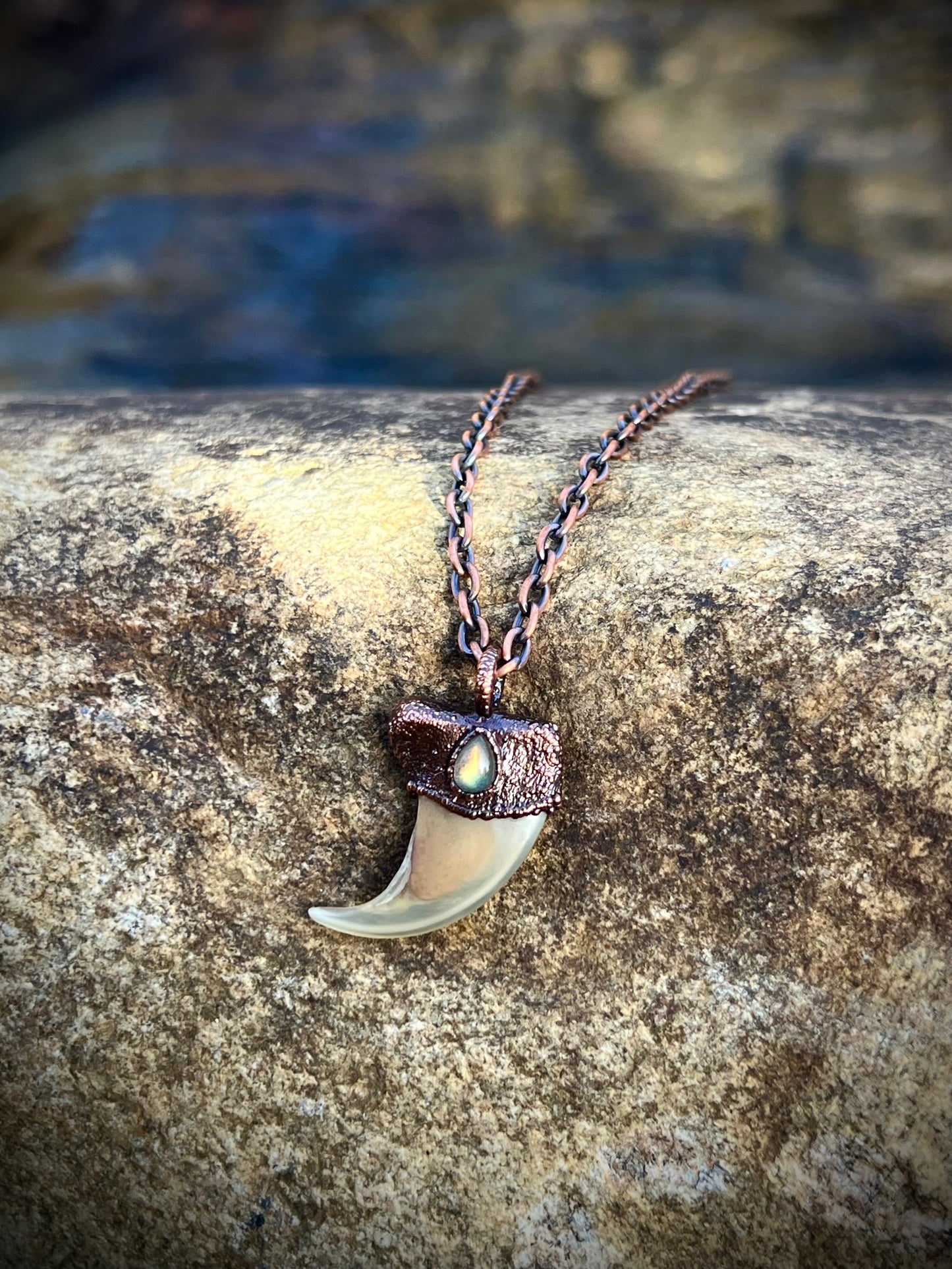 Cougar Claw with Labradorite - Copper Electroformed Necklace