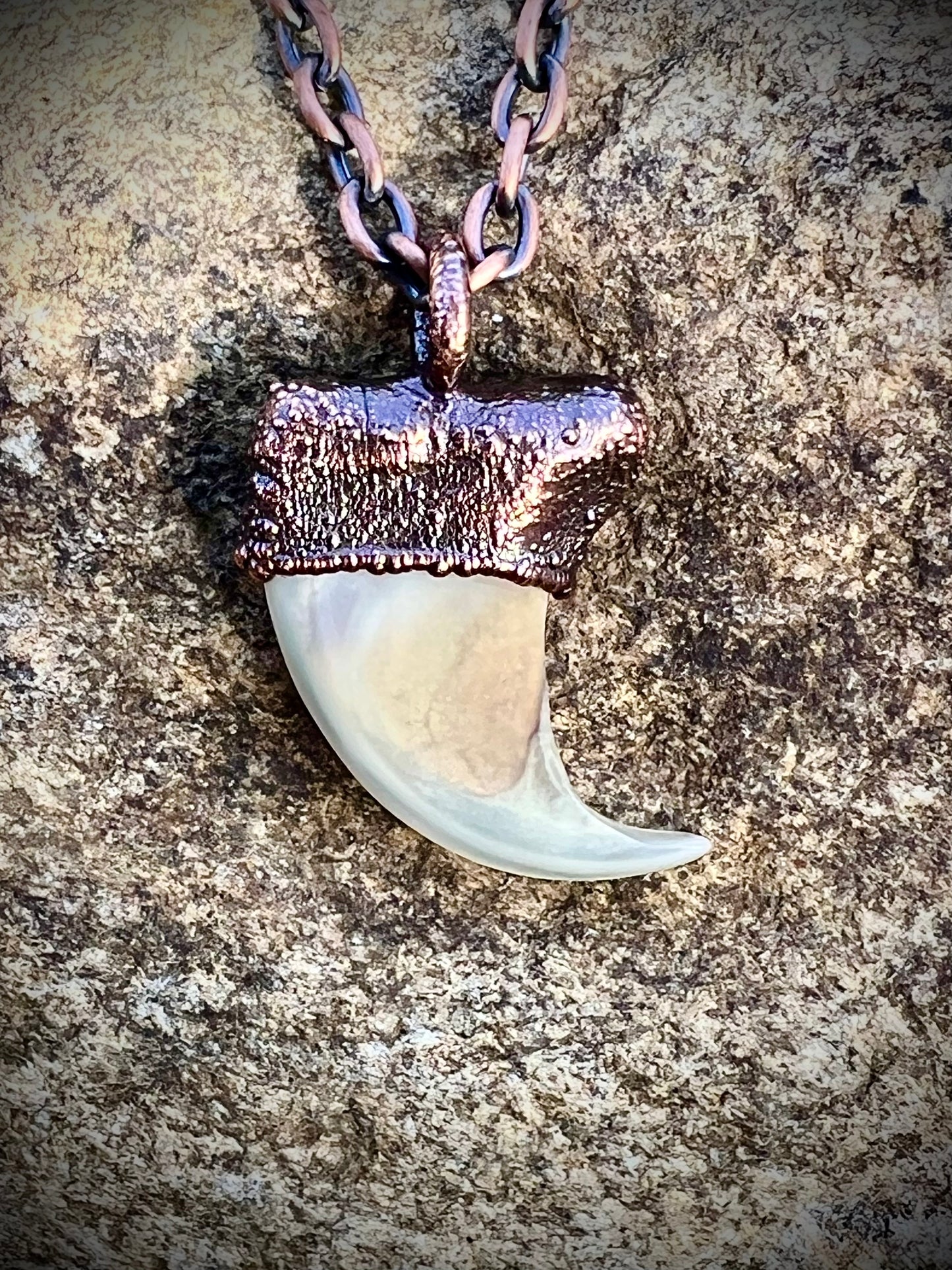 Cougar Claw with Labradorite - Copper Electroformed Necklace