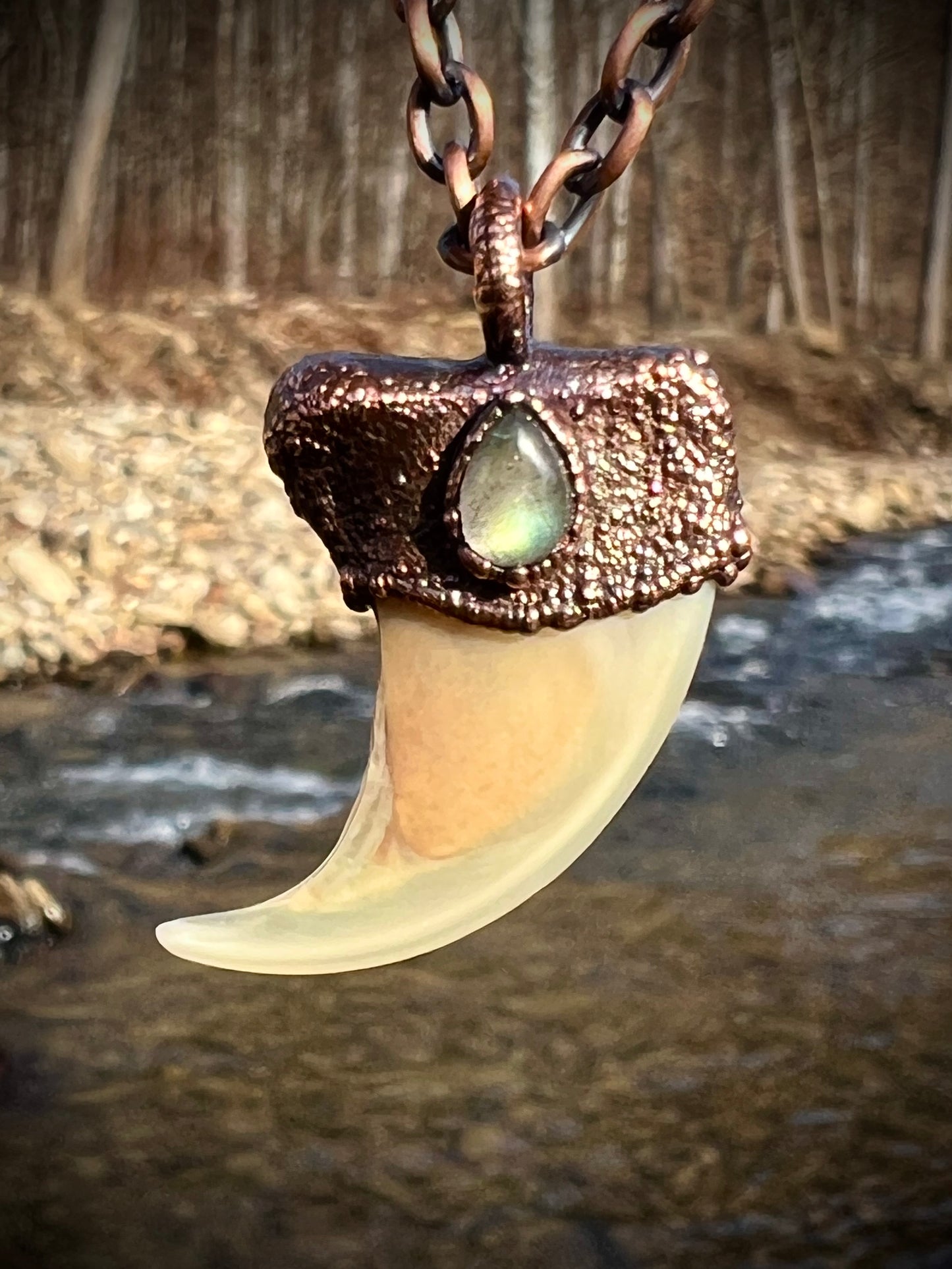 Cougar Claw with Labradorite - Copper Electroformed Necklace