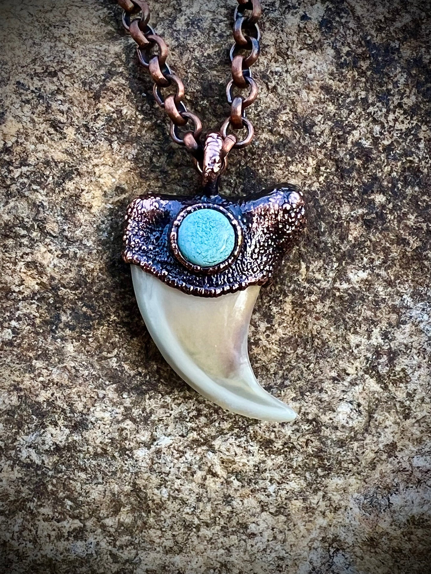 Cougar Claw with Tibetan Turquoise - Copper Electroformed Necklace