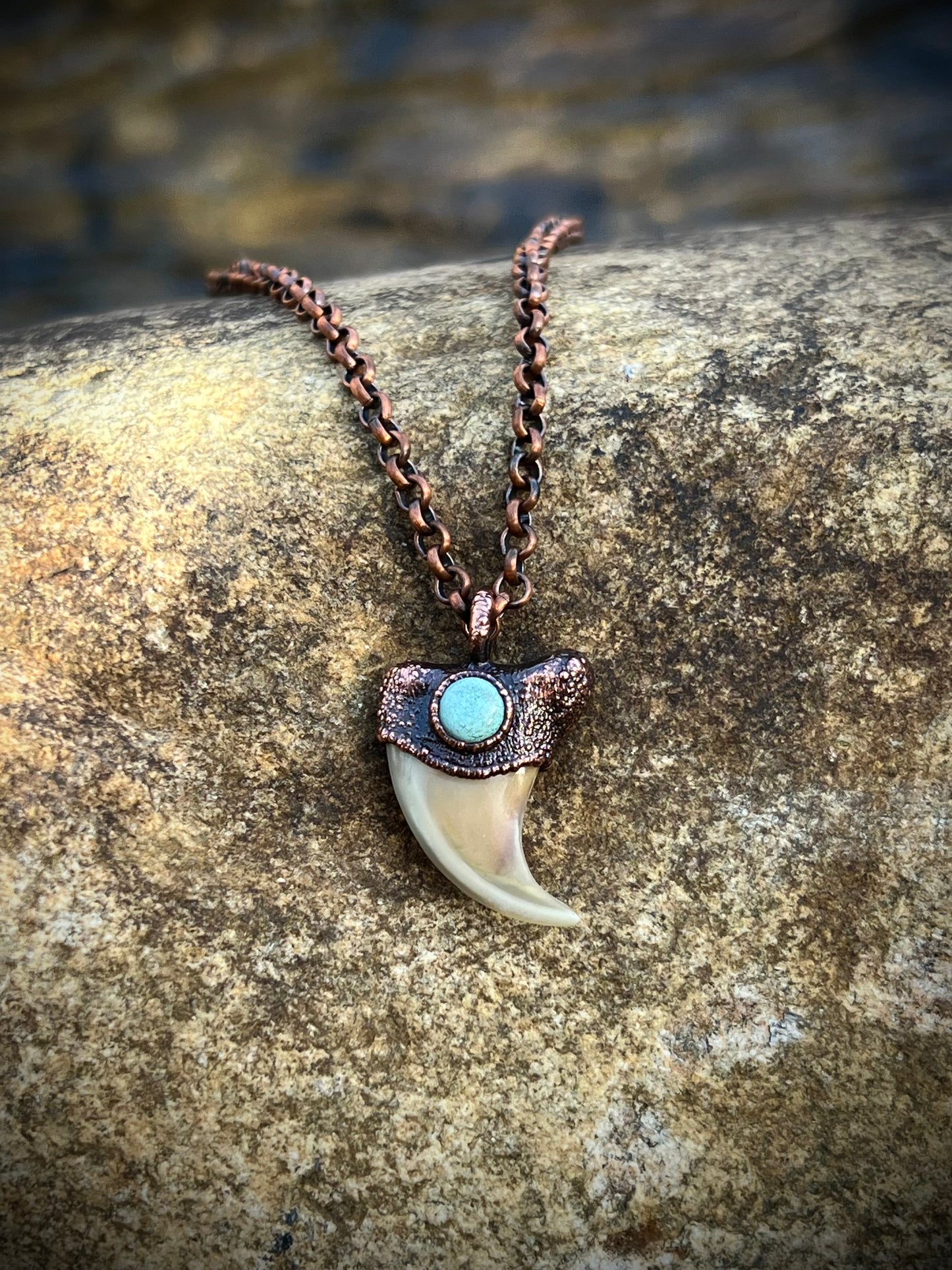 Cougar Claw with Tibetan Turquoise - Copper Electroformed Necklace