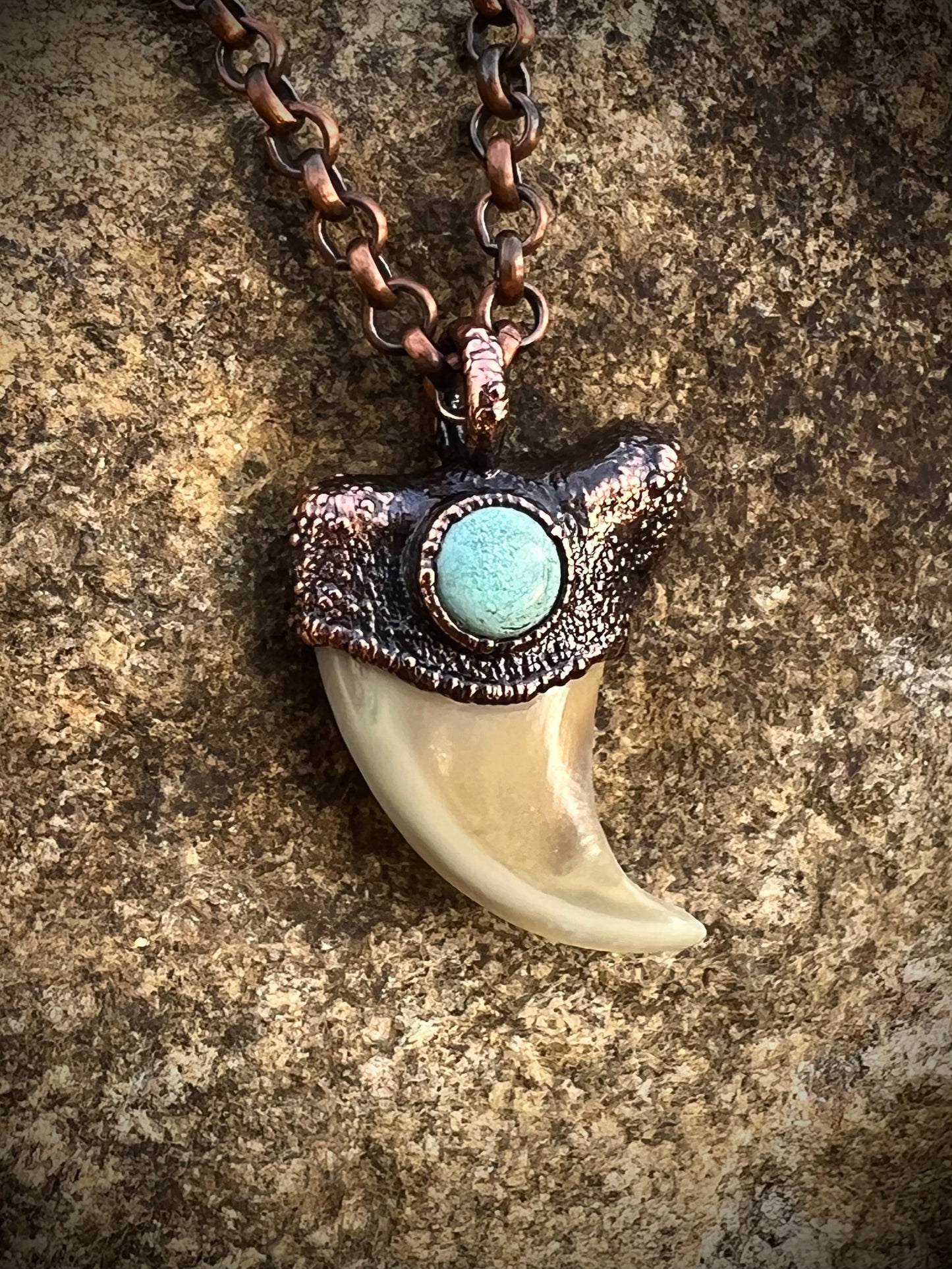 Cougar Claw with Tibetan Turquoise - Copper Electroformed Necklace