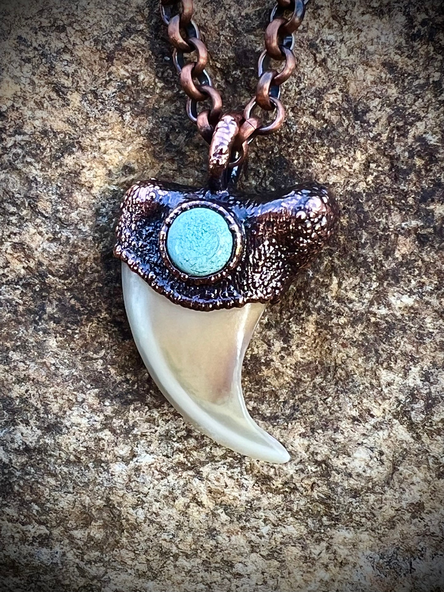 Cougar Claw with Tibetan Turquoise - Copper Electroformed Necklace