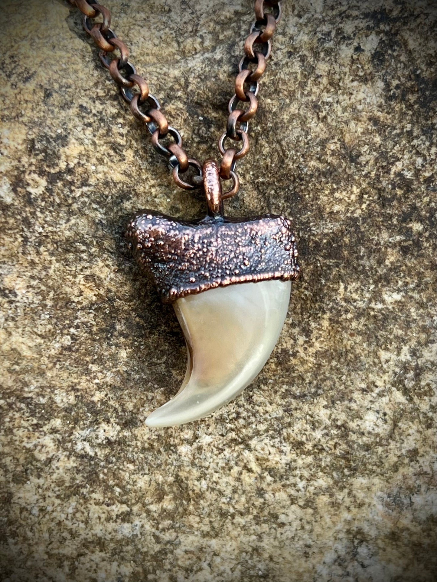Cougar Claw with Tibetan Turquoise - Copper Electroformed Necklace