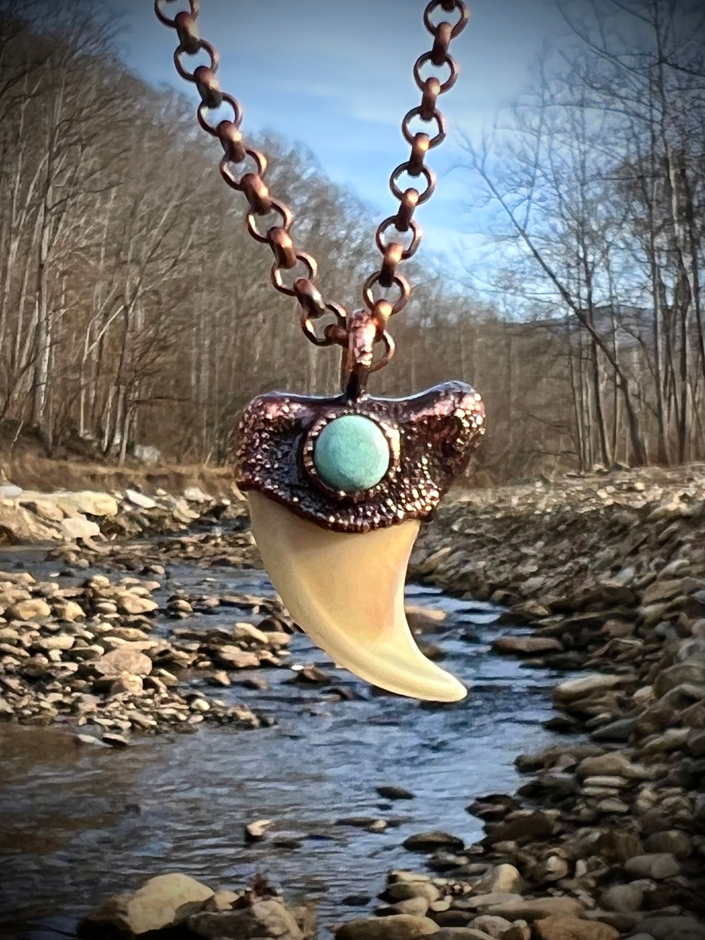 Cougar Claw with Tibetan Turquoise - Copper Electroformed Necklace