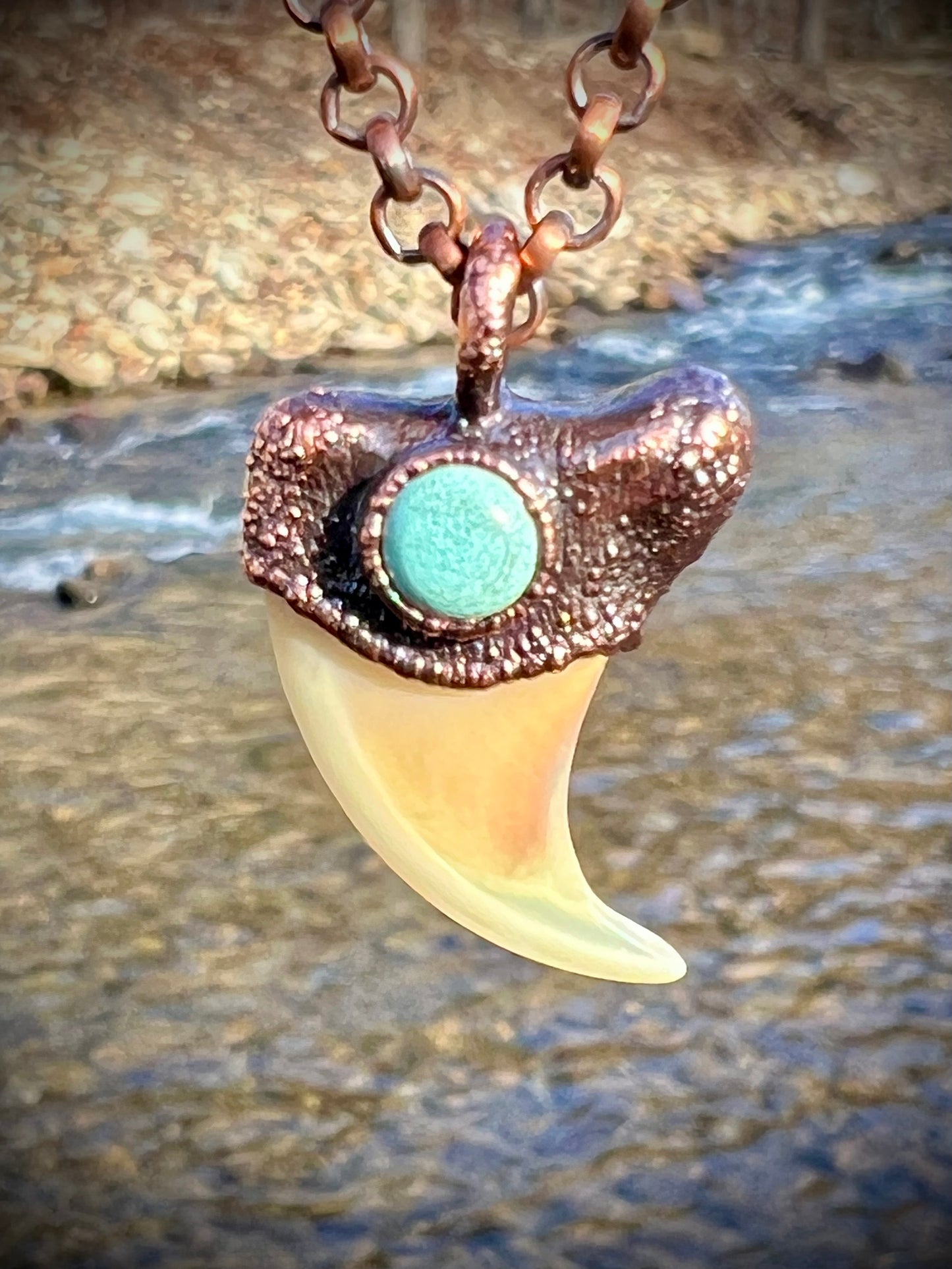 Cougar Claw with Tibetan Turquoise - Copper Electroformed Necklace