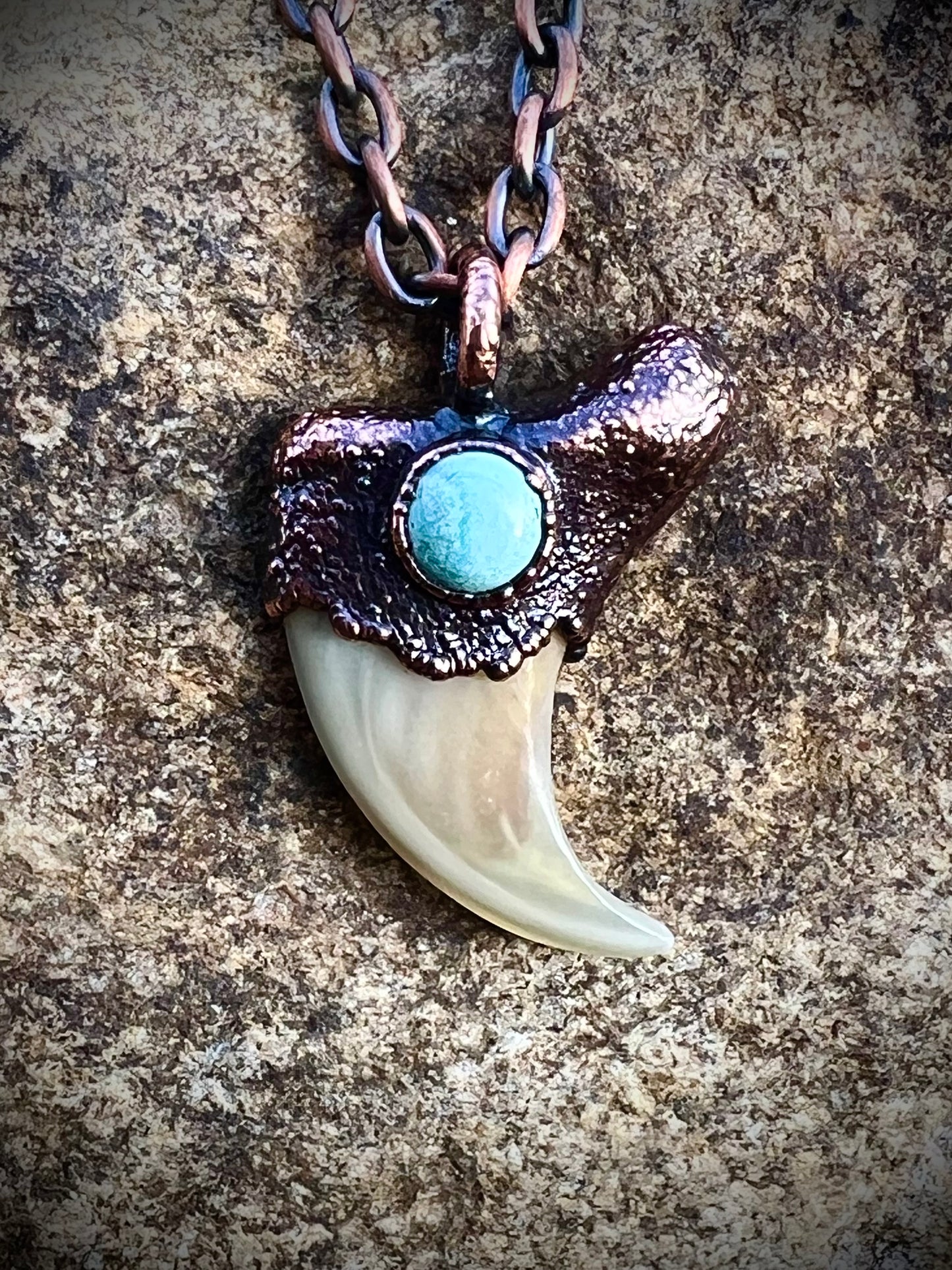 Cougar Claw with Tibetan Turquoise - Copper Electroformed Necklace