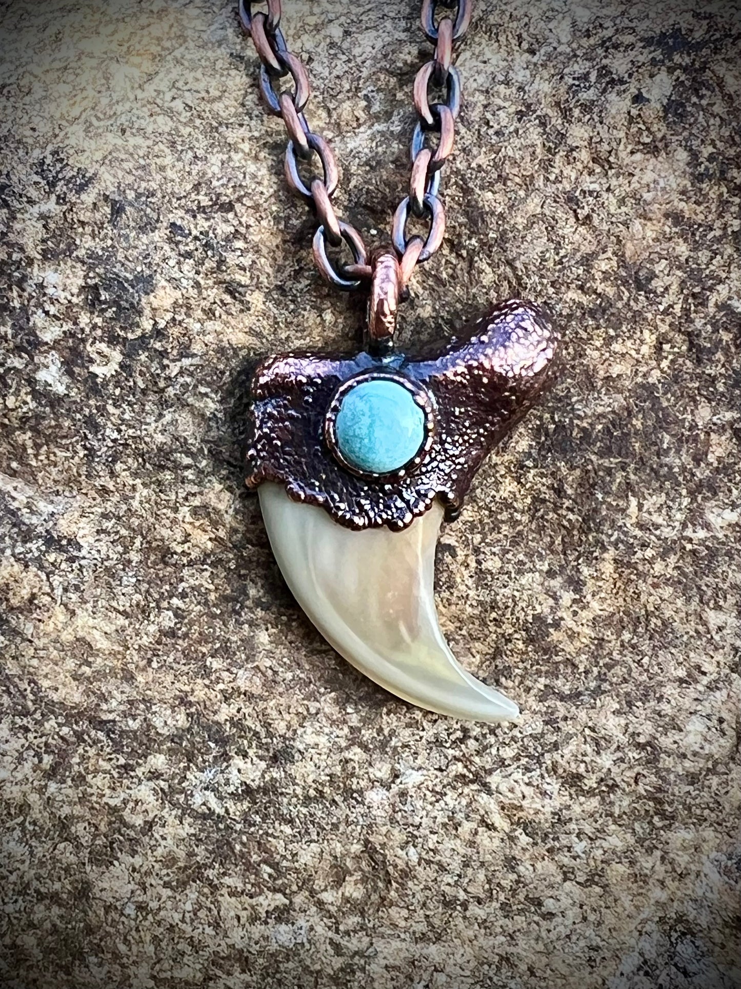 Cougar Claw with Tibetan Turquoise - Copper Electroformed Necklace