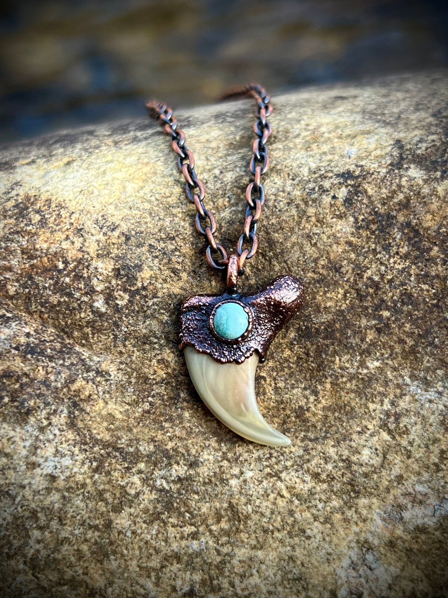 Cougar Claw with Tibetan Turquoise - Copper Electroformed Necklace