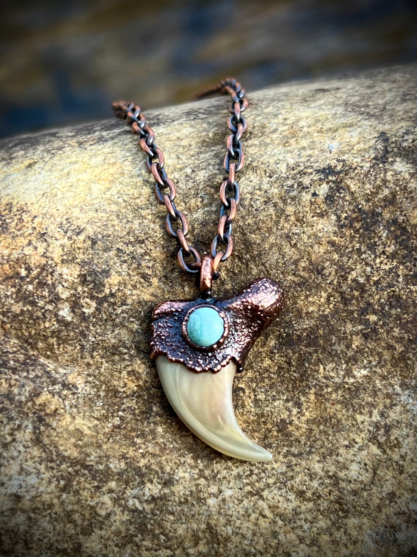 Cougar Claw with Tibetan Turquoise - Copper Electroformed Necklace