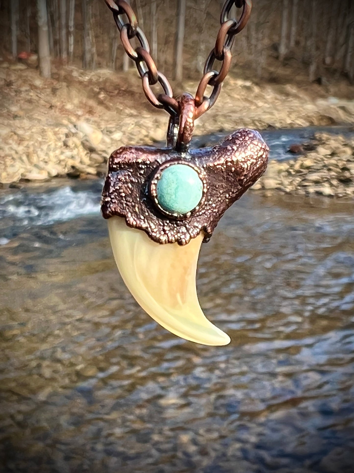 Cougar Claw with Tibetan Turquoise - Copper Electroformed Necklace
