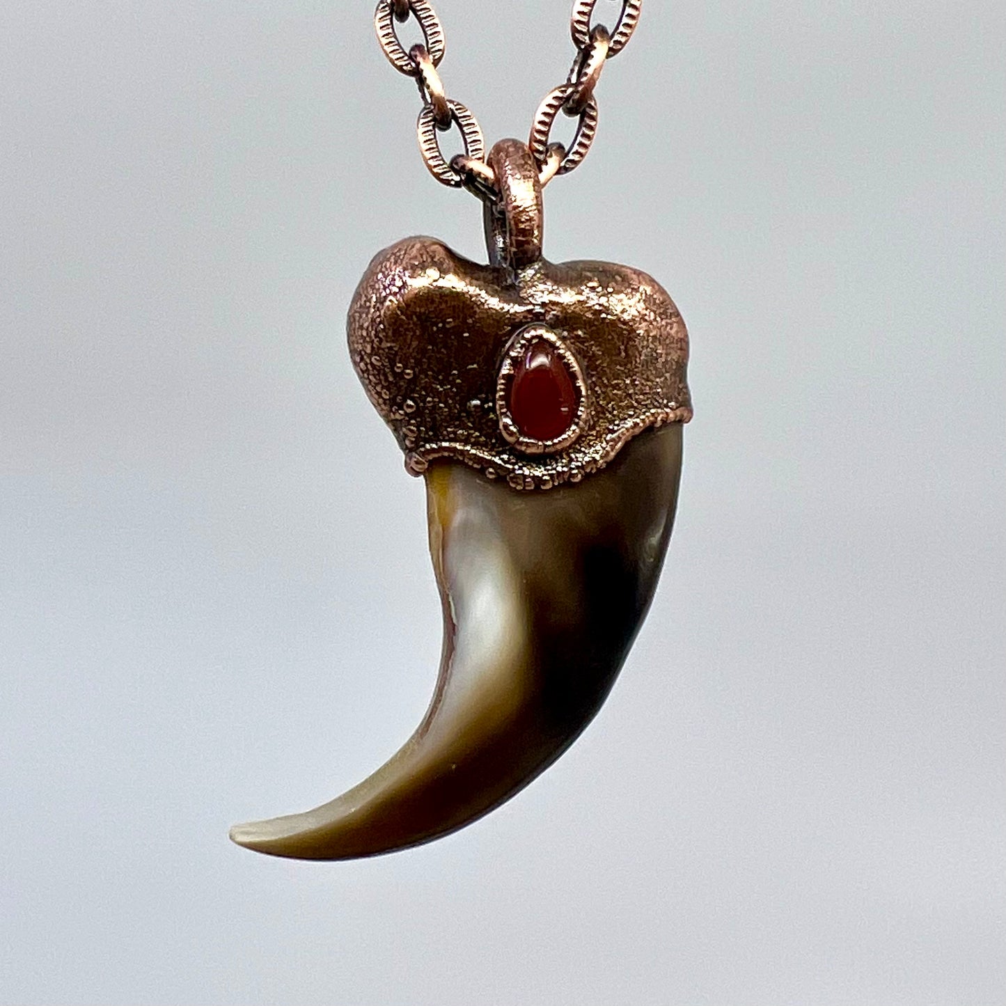 Black Bear Claw with Carnelian Accent, Med/Large Front Claw - Copper Electroformed Necklace