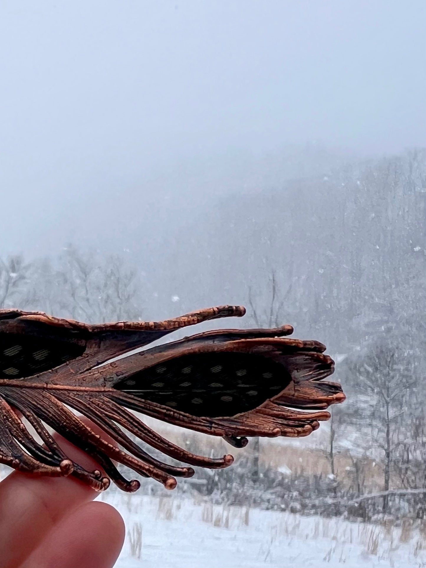 Peekaboo Guinea Feather - Copper Electroformed - Ornamental Keepsake