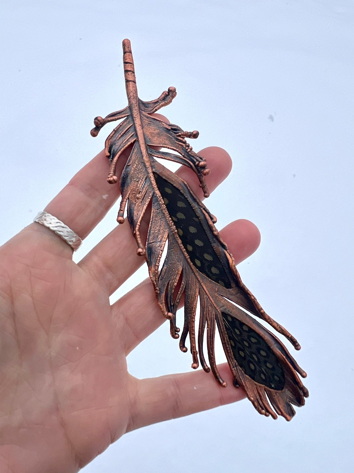 Peekaboo Guinea Feather - Copper Electroformed - Ornamental Keepsake