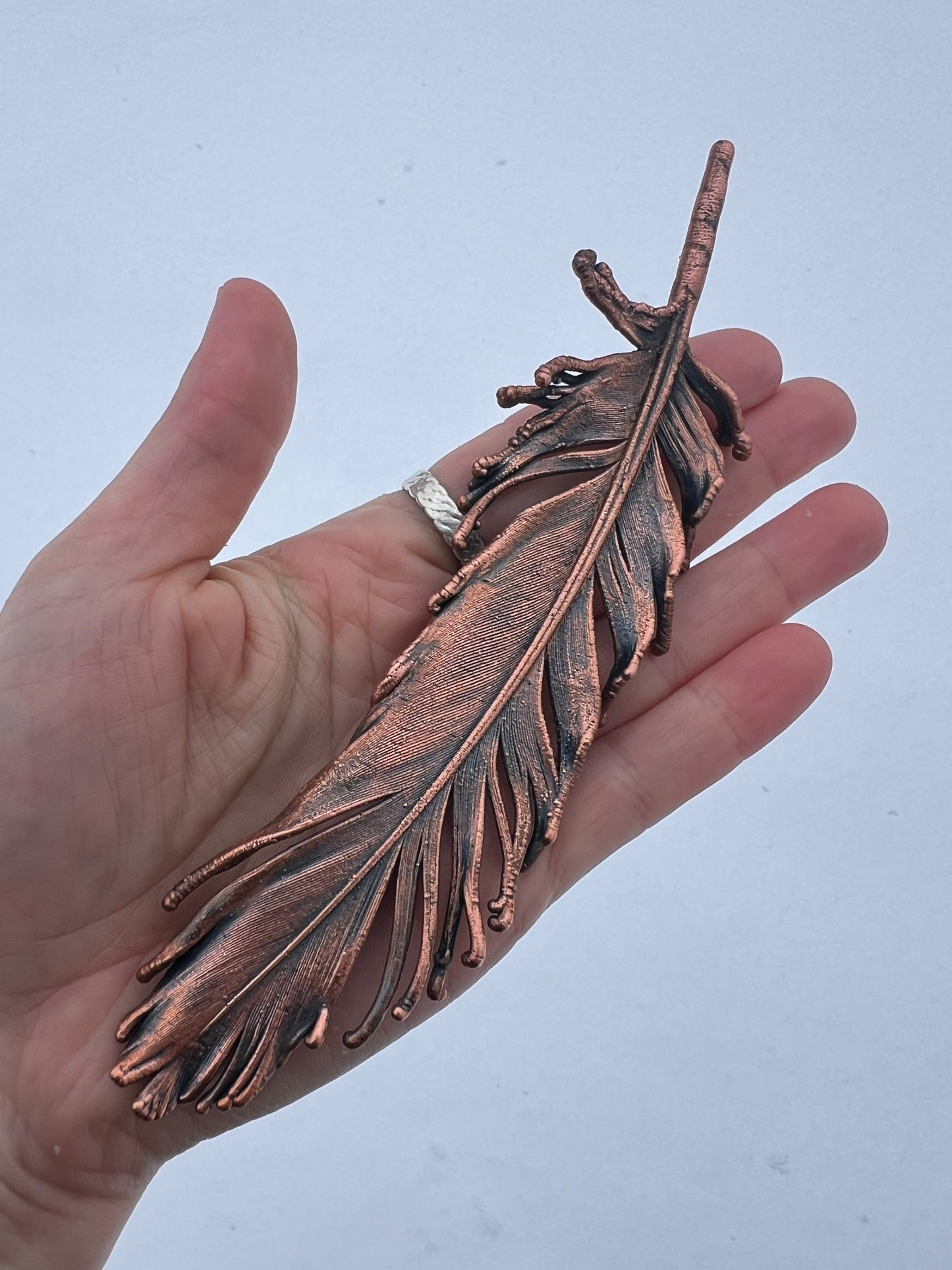 Peekaboo Guinea Feather - Copper Electroformed - Ornamental Keepsake