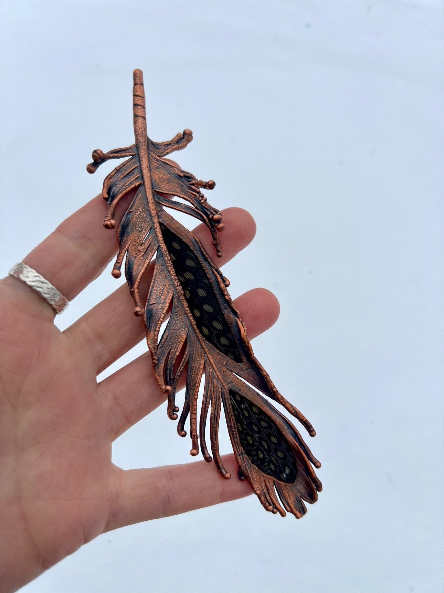 Peekaboo Guinea Feather - Copper Electroformed - Ornamental Keepsake