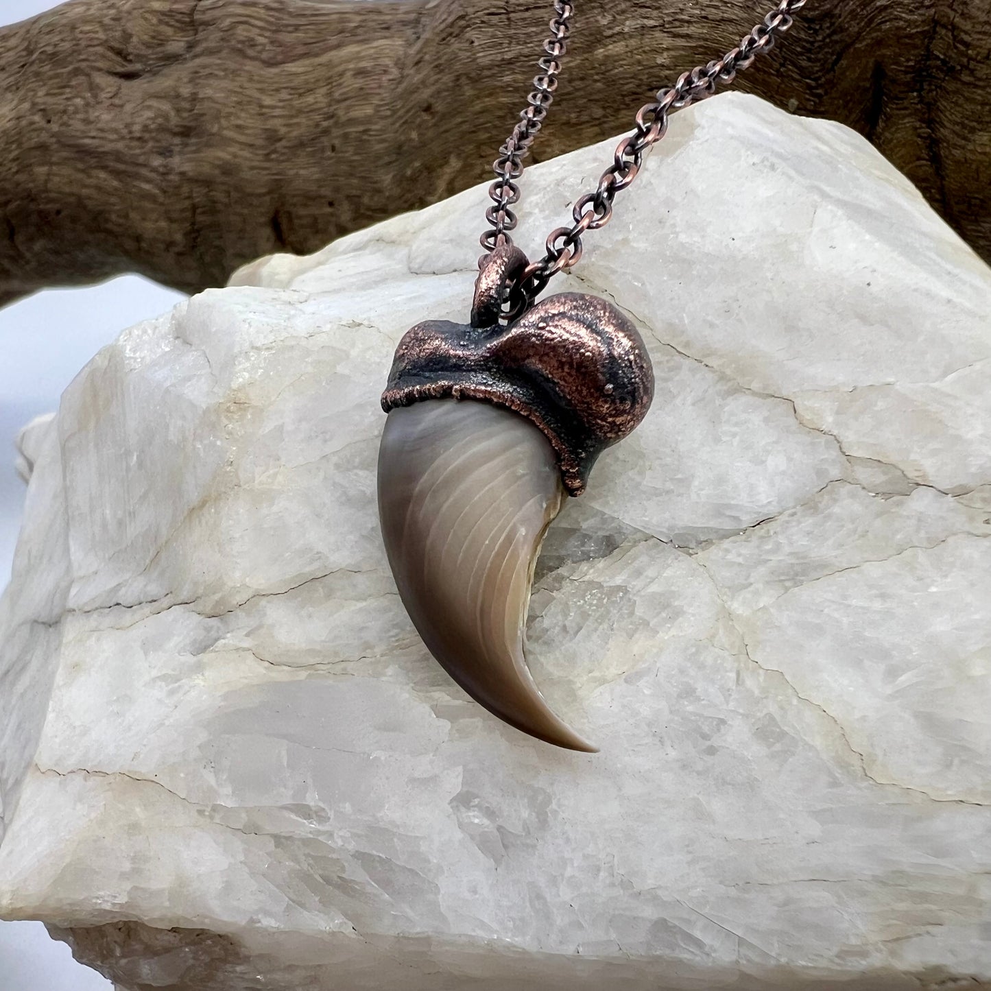 Black Bear Claw Necklace, Small Rear Claw - Copper Electroformed
