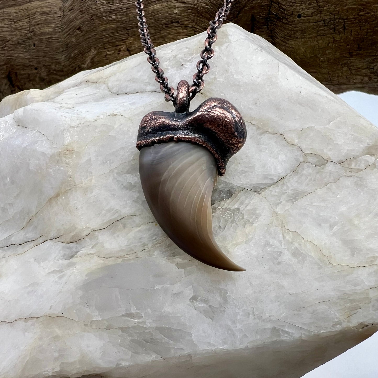 Black Bear Claw Necklace, Small Rear Claw - Copper Electroformed