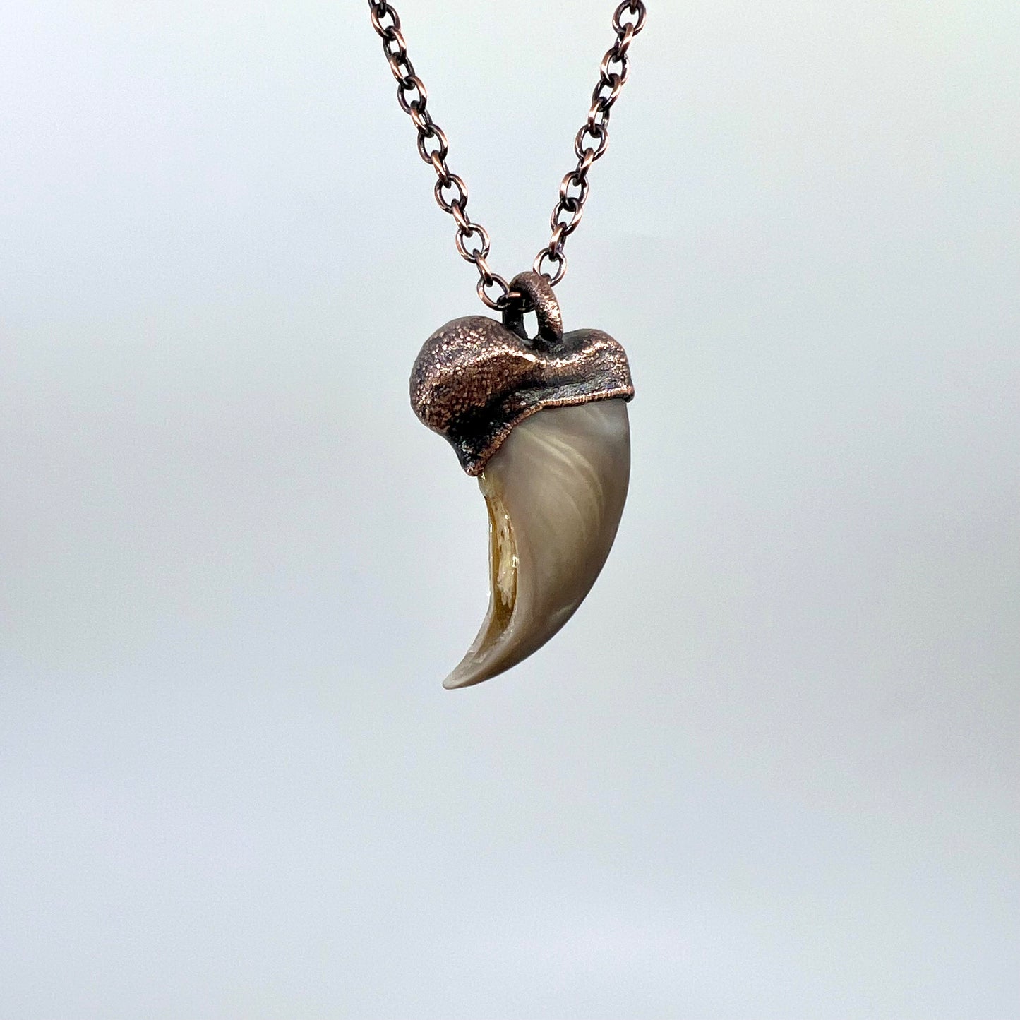 Black Bear Claw Necklace, Small Rear Claw - Copper Electroformed