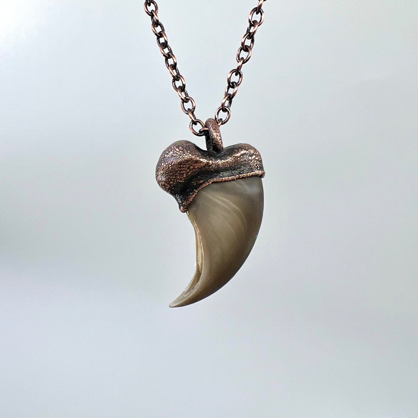 Black Bear Claw Necklace, Small Rear Claw - Copper Electroformed